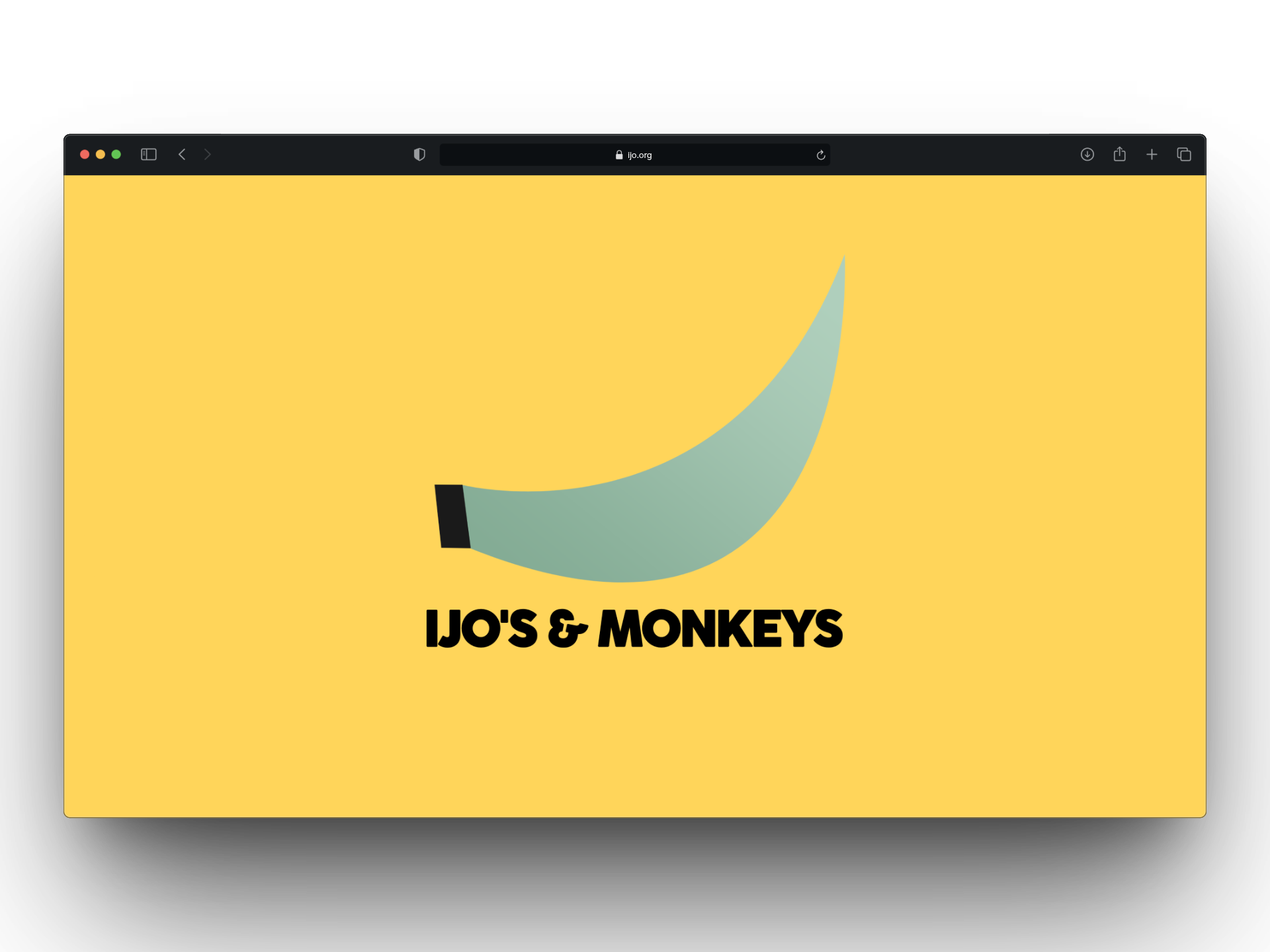 IJO Monkeys NGO Infrastructure